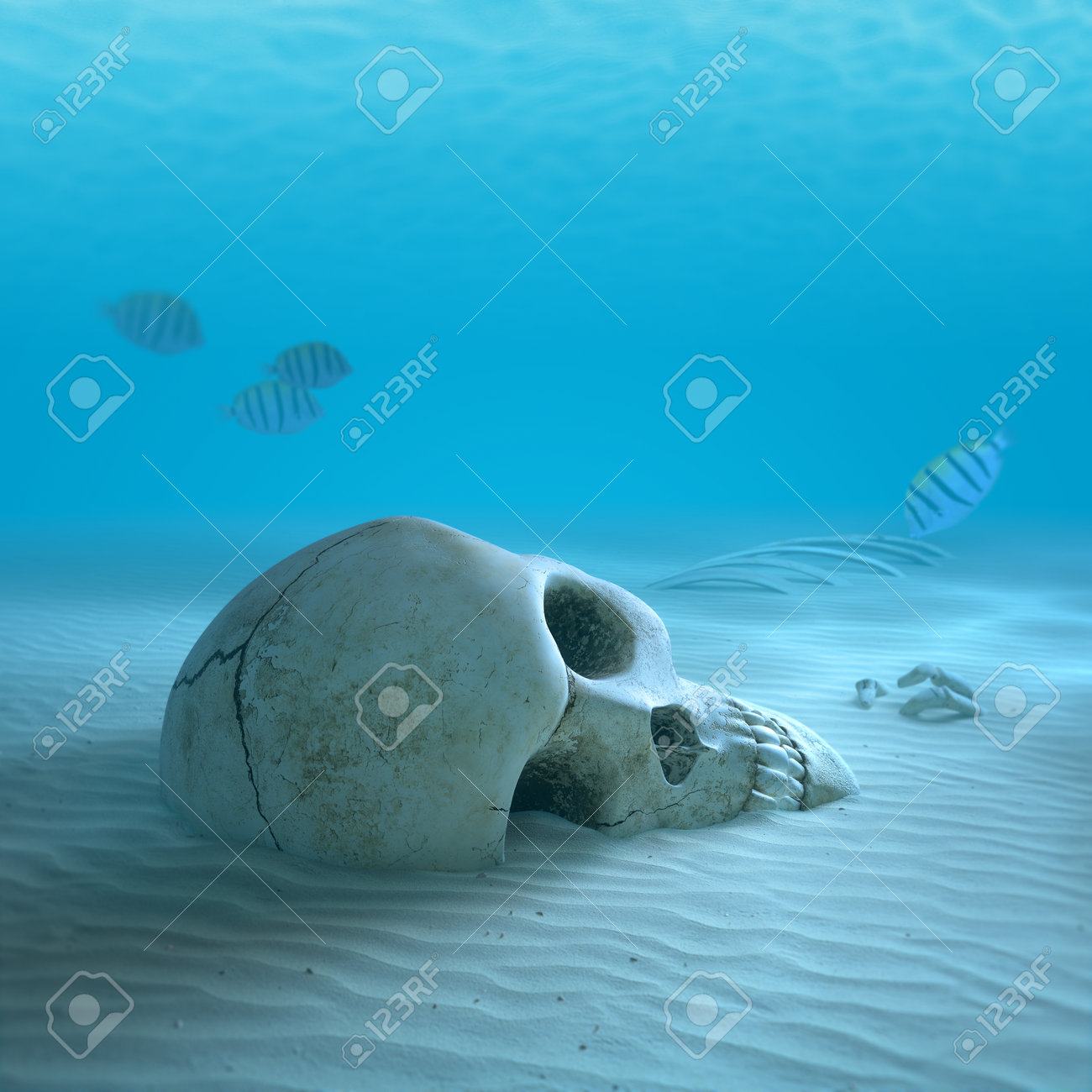 Skull on sandy ocean bottom with small fish cleaning some bones ( 3d render with slight differential focus) - 24264272 Skull on sandy ocean bottom with small fish cleaning some bones ( 3d render with slight differential focus) - 24264272