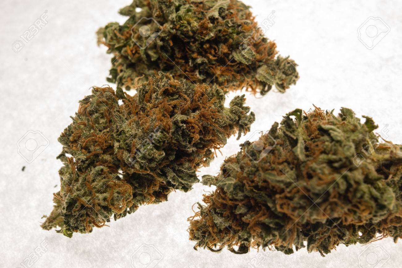 Marihuanapflanze Getrocknete Blutenknospen Der Bluhenden Cannabis Lizenzfreie Fotos Bilder Und Stock Fotografie Image