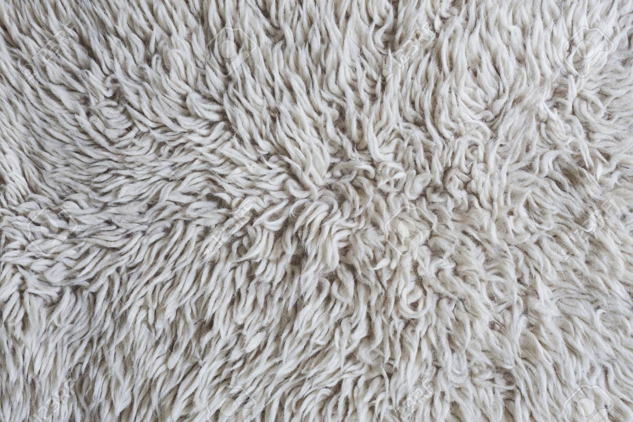 Hire Carpet Cleaners to Treat Your Woolly Rug