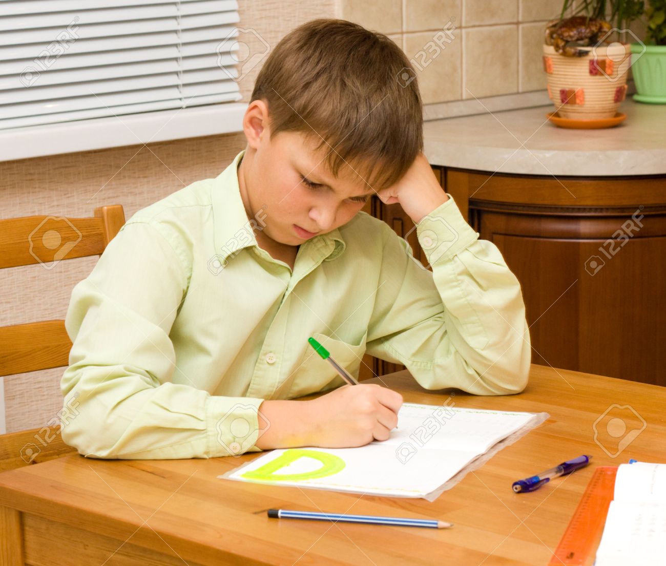 what is a web essay expository