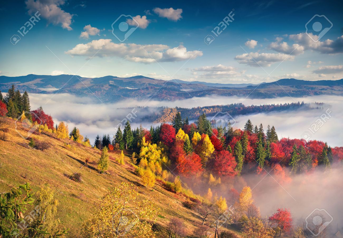 colorful autumn morning in the carpathian mountains sokilsky