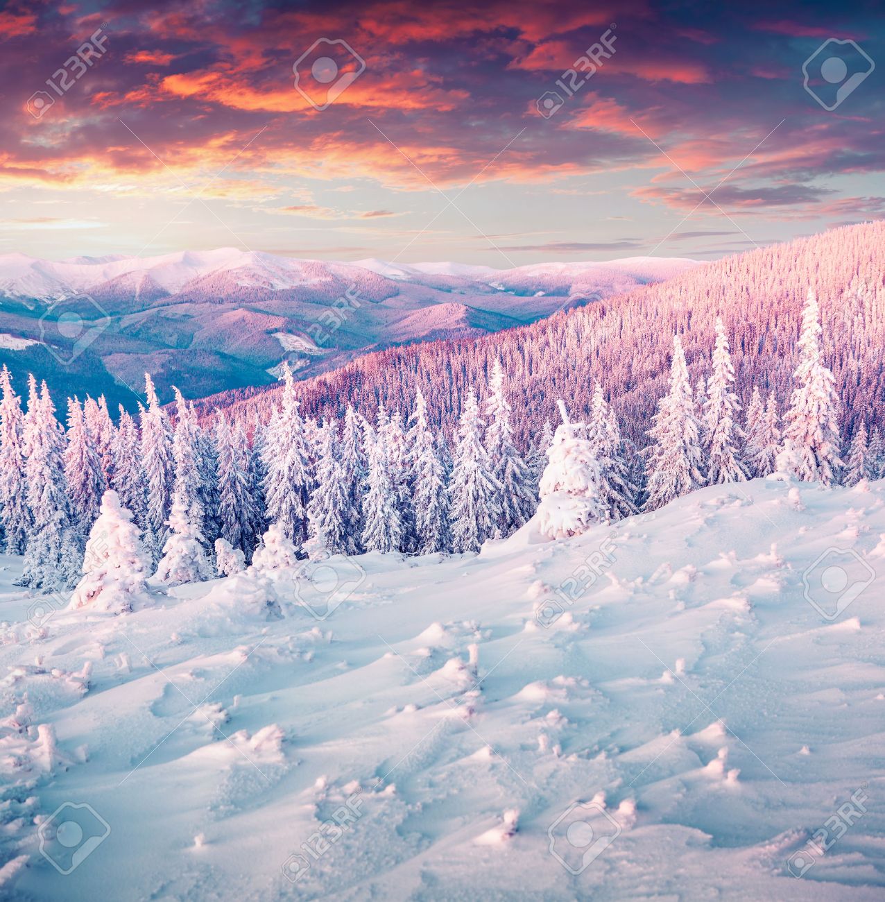 Colorful winter sunrise in the Carpathian mountains. Gorgany ridge, Ukraine, Europe. - 45243830 Colorful winter sunrise in the Carpathian mountains. Gorgany ridge, Ukraine, Europe. - 45243830