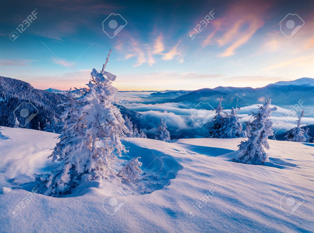 Dramatic winter sunrise in Carpathian mountains with snow covered fir trees. Colorful outdoor scene, Happy New Year celebration concept. Artistic style post processed photo. - 89420026 Dramatic winter sunrise in Carpathian mountains with snow covered fir trees. Colorful outdoor scene, Happy New Year celebration concept. Artistic style post processed photo. - 89420026