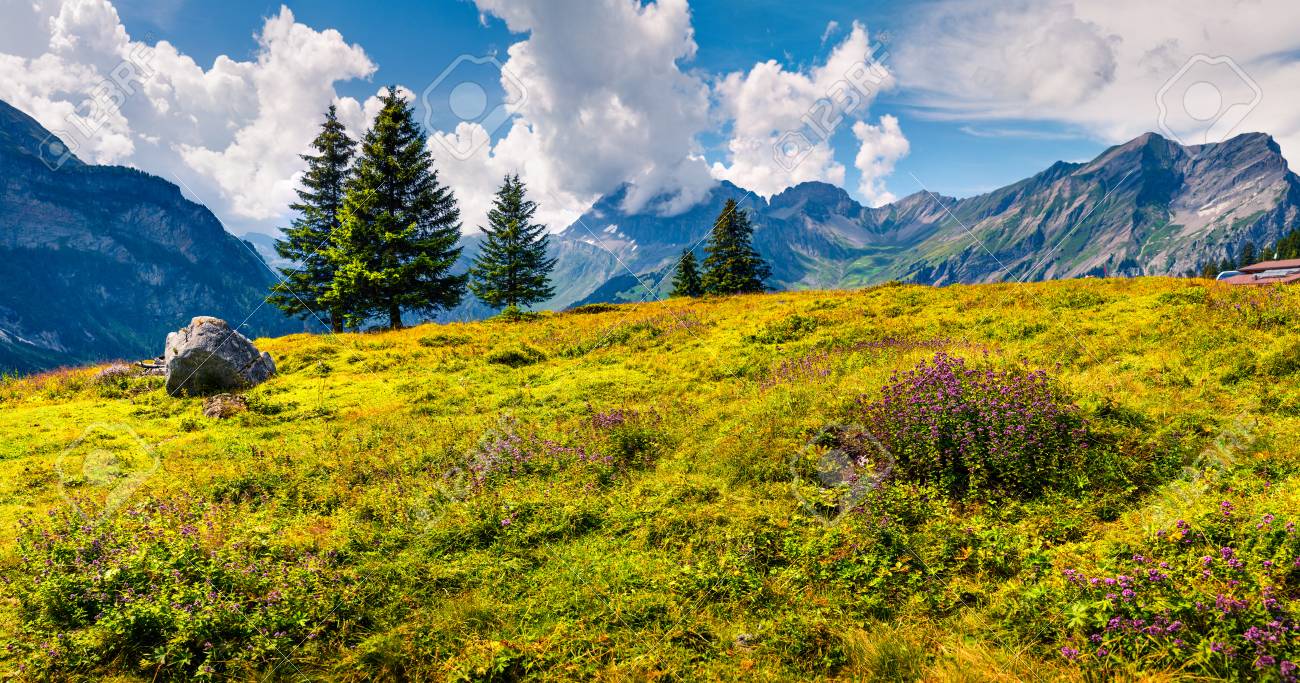 Sunny Summer View Of The Mountain Meadow From The Oeschinen Lake Colorful Morning Scene In The Swiss Alps Kandersteg Village Location Canton Of Bern Switzerland Europe Beauty Of Nature Concept Background Stock