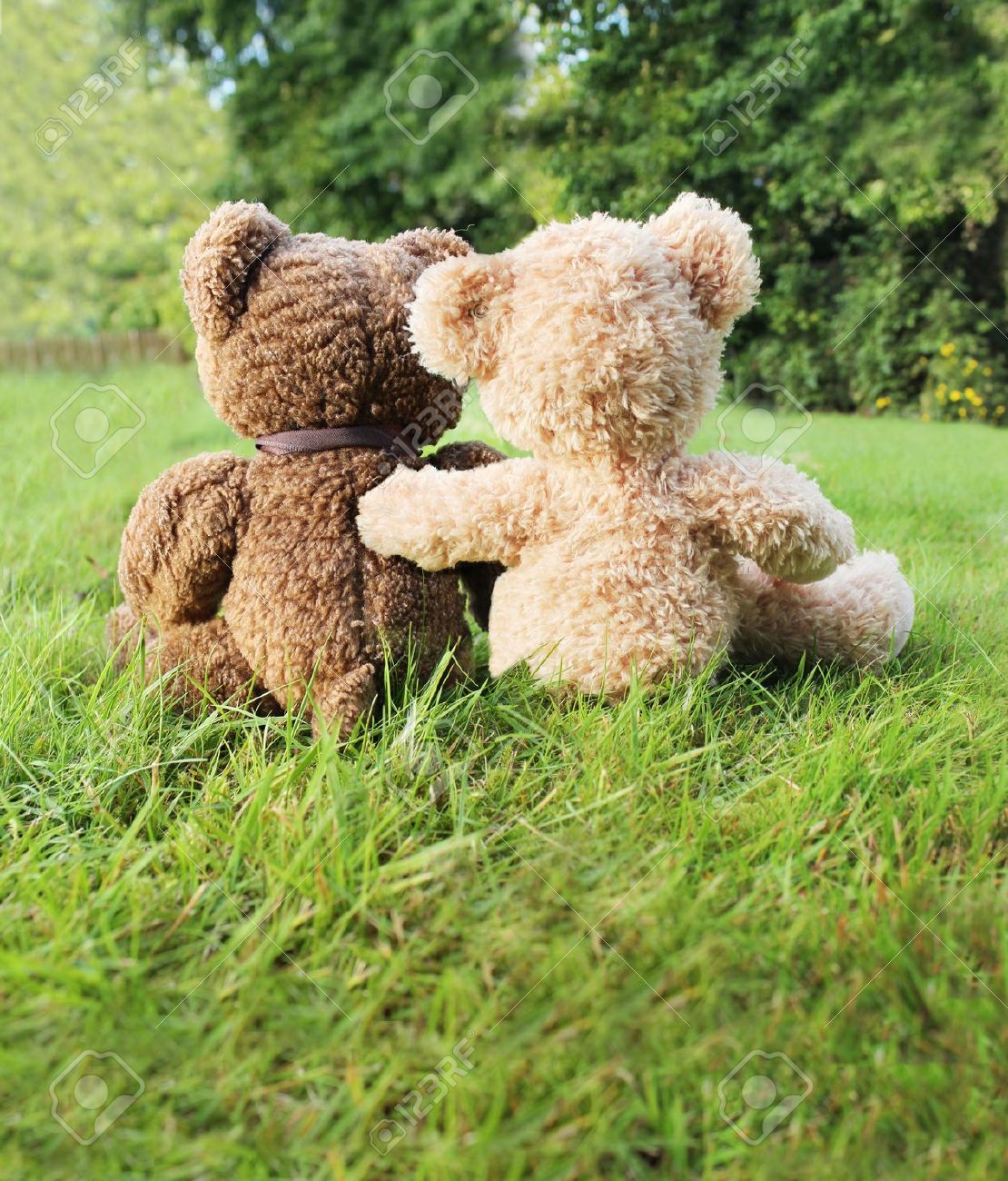 Dos Osos De Peluche En Amor Sentado Sobre Césped Fotos Dos Osos De Peluche En Amor Sentado Sobre Césped Fotos