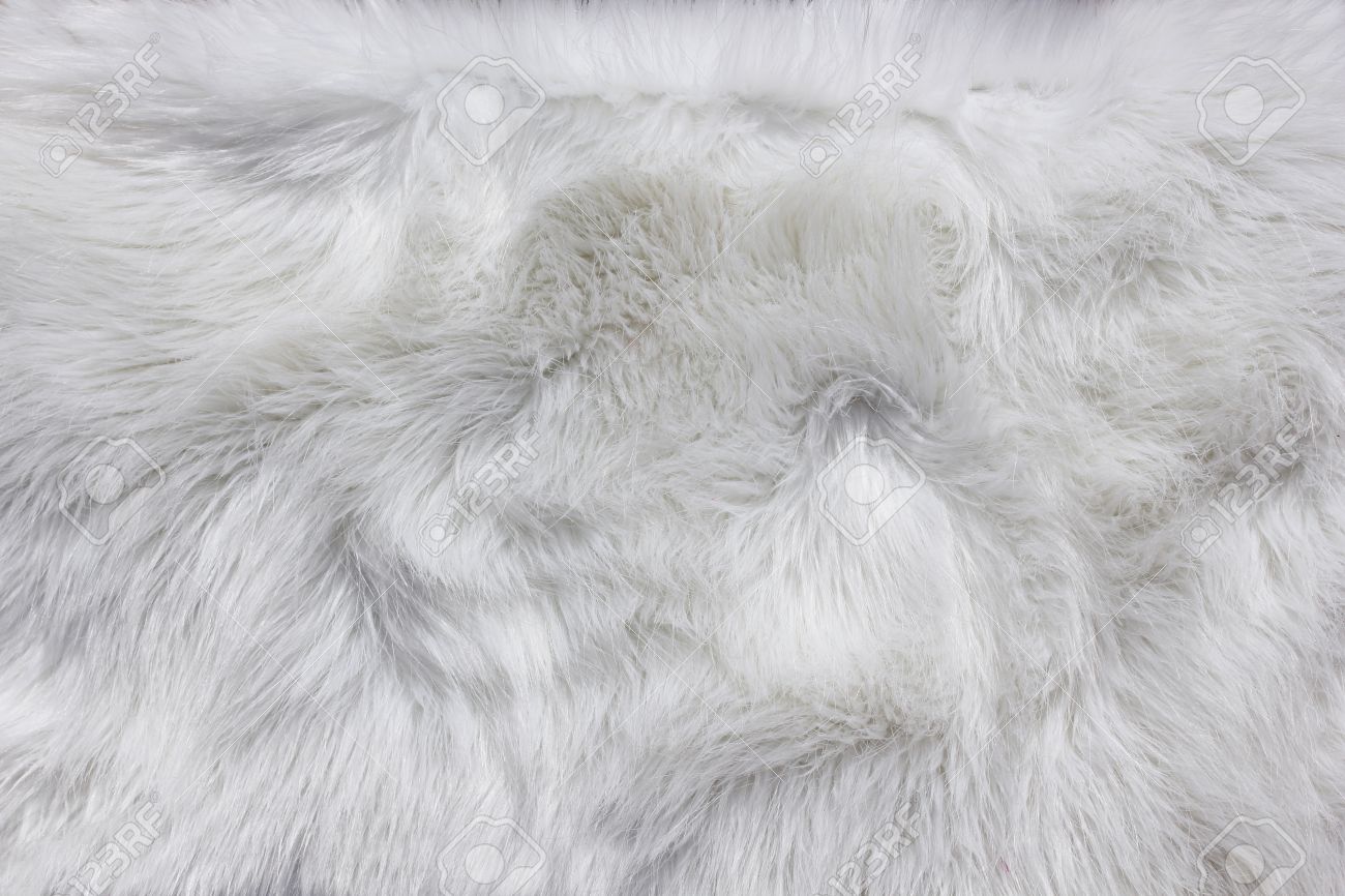 white fluffy fur