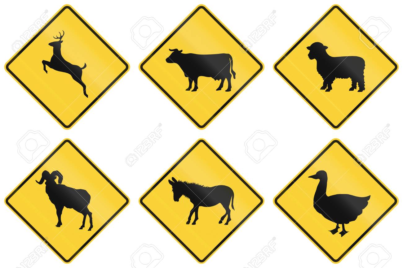 Collection Of Animal Crossing Signs Used In The USA. Stock Photo, Picture  and Royalty Free Image. Image 46935667.