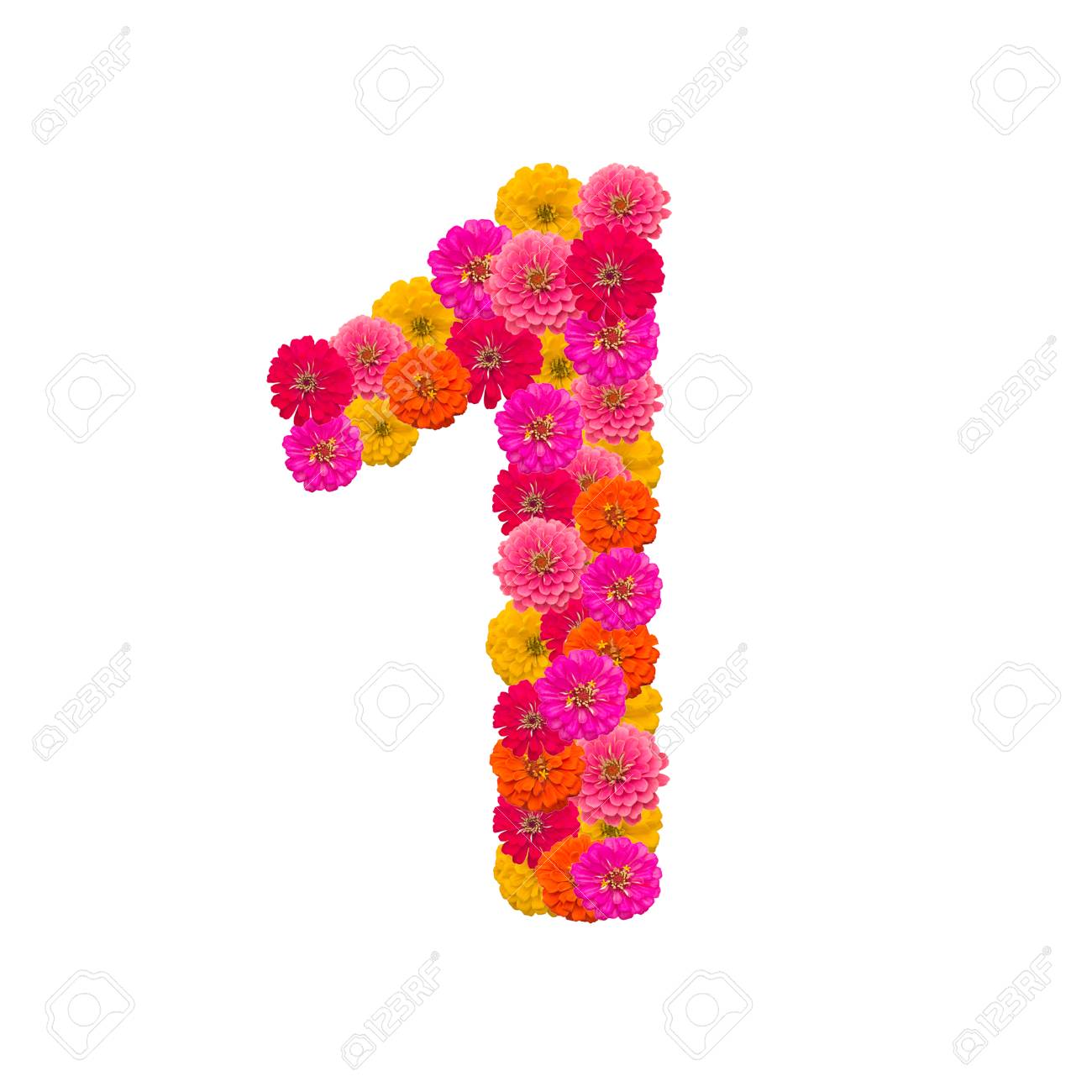 Numbers 1 Made From Zinnias Flowers Stock Photo, Picture and Royalty Free  Image. Image 28835426., image size:1300x1300
