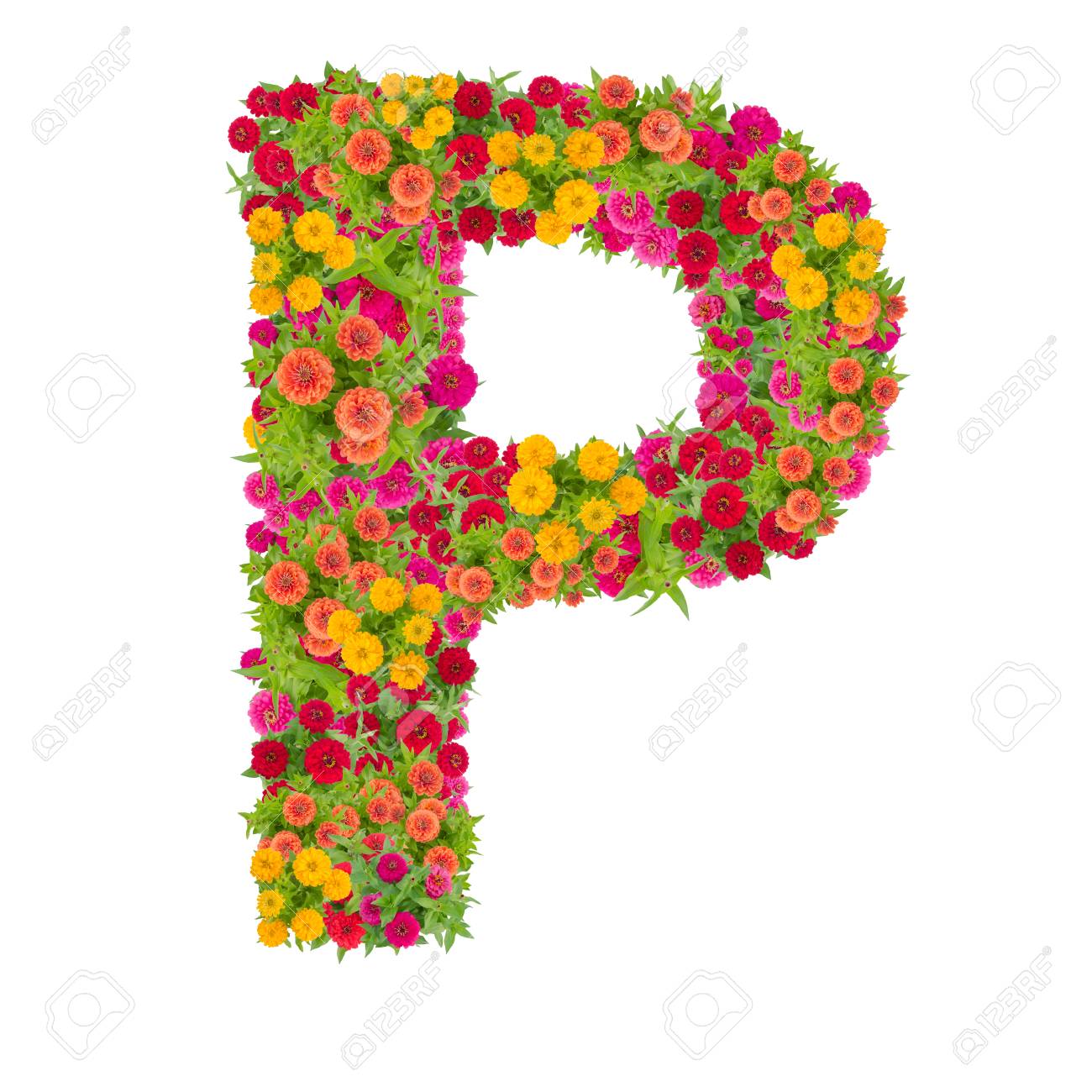 Letter P Alphabet Made From Zinnia Flower ABC Concept Type As Logo ...