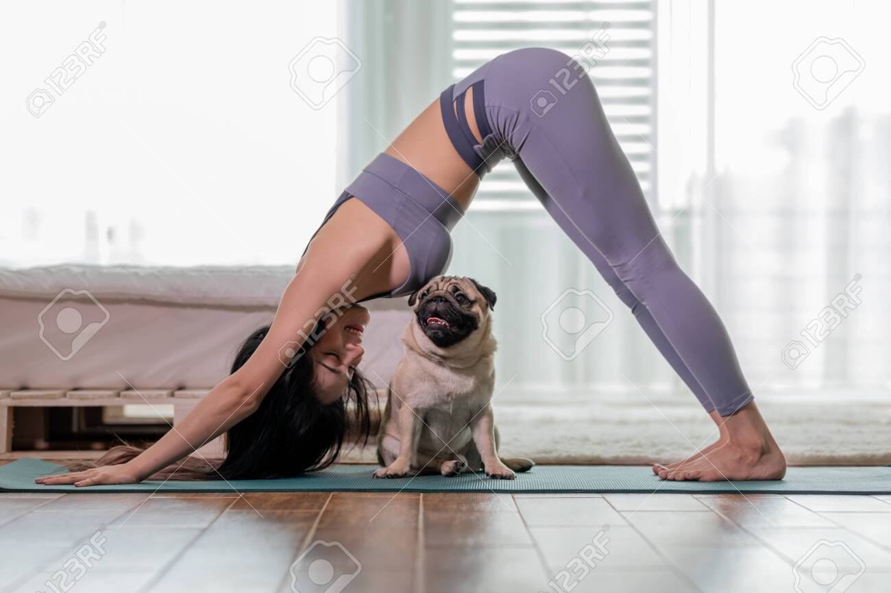Downward Facing Dog Relax Downward Facing Dog Relax