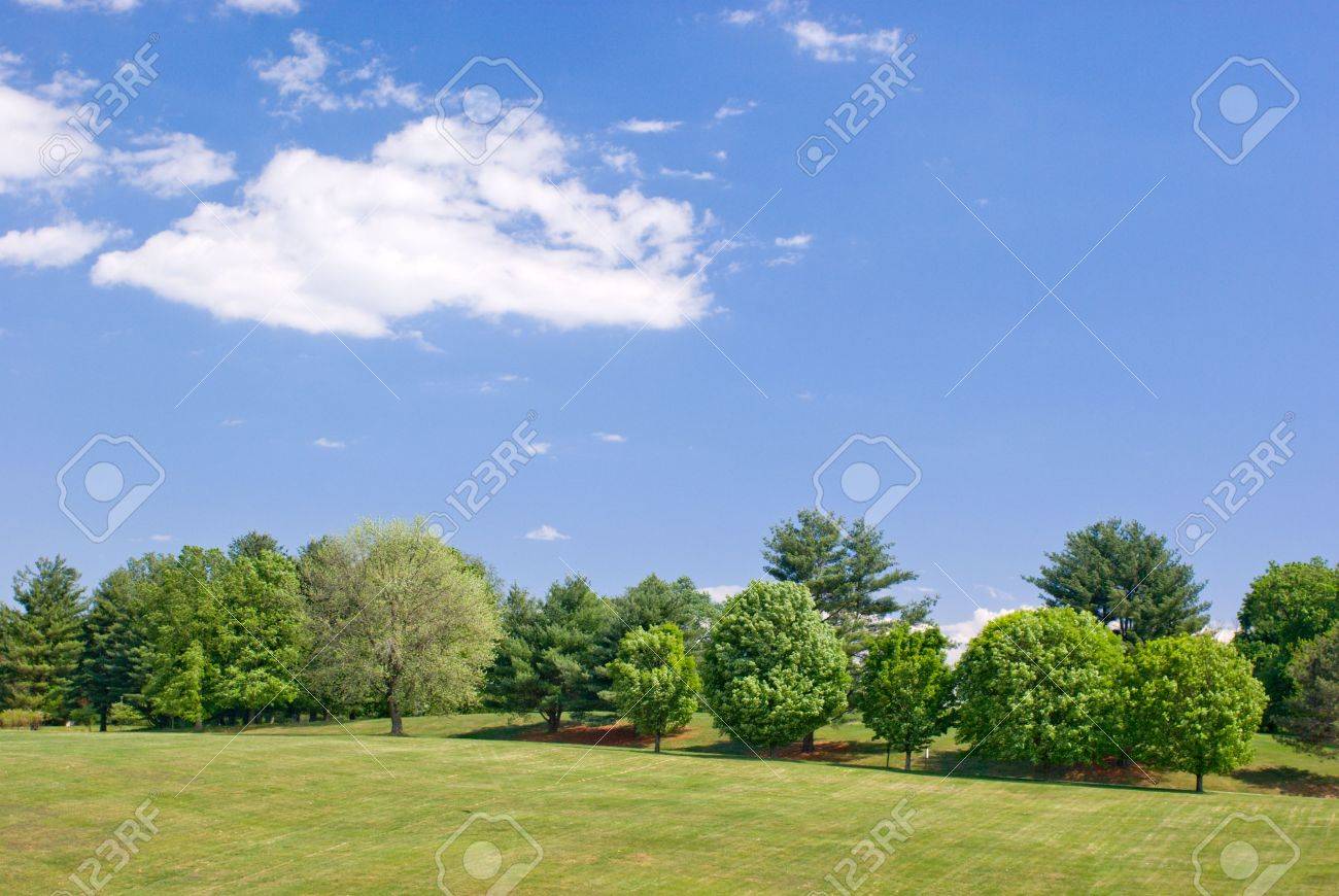 Partly Cloudy Sky Partly Cloudy Sky