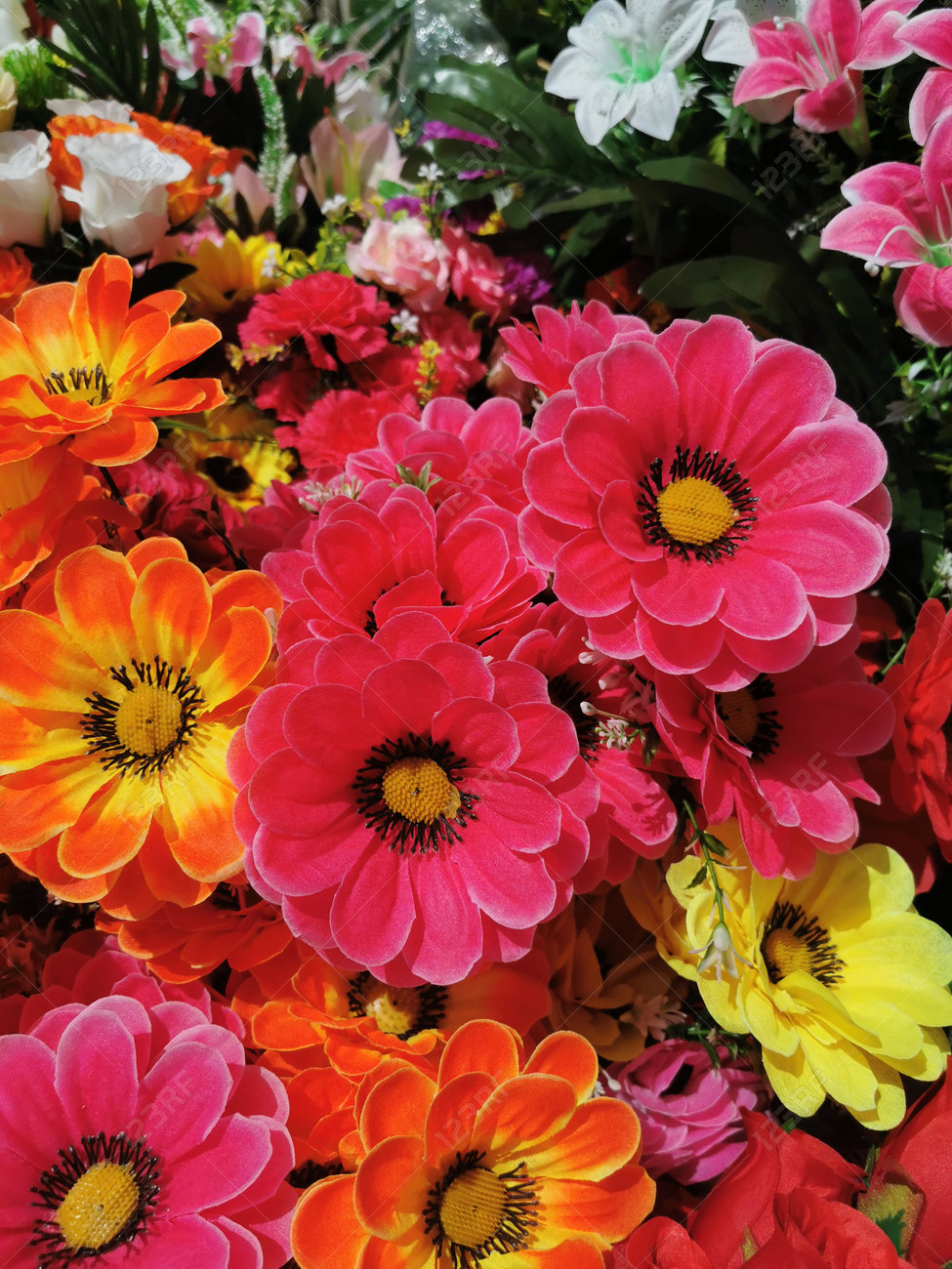 etiam-dictum-ipsum-a-felis