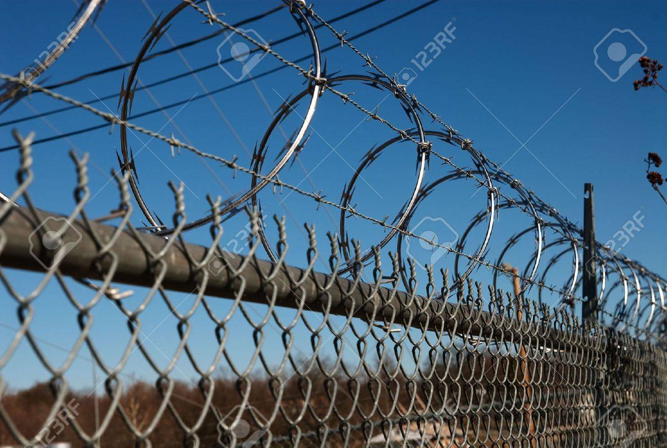 Barbed Wire Fences Barbed Wire Fences