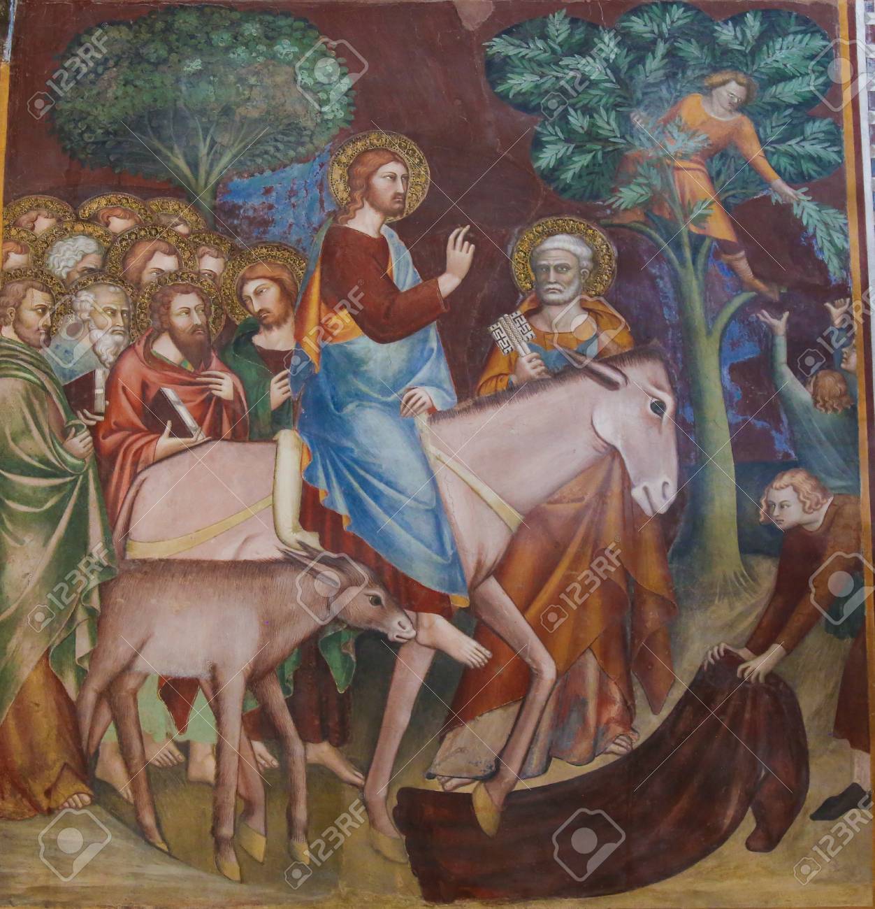 イエスは ロバにパーム日曜日にエルサレムを入力します 14 世紀 イタリアのサン ジミニャーノのジミニャーノ参事会教会のフレスコ画 の写真素材 画像素材 Image