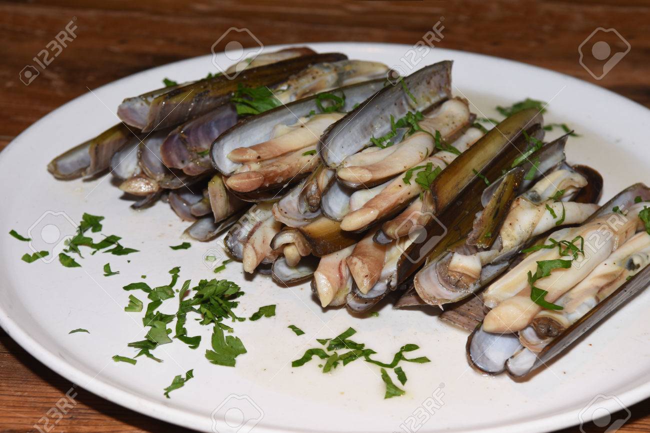 Razor Shell Stock Photo Picture And Royalty Free Image Image 59130002