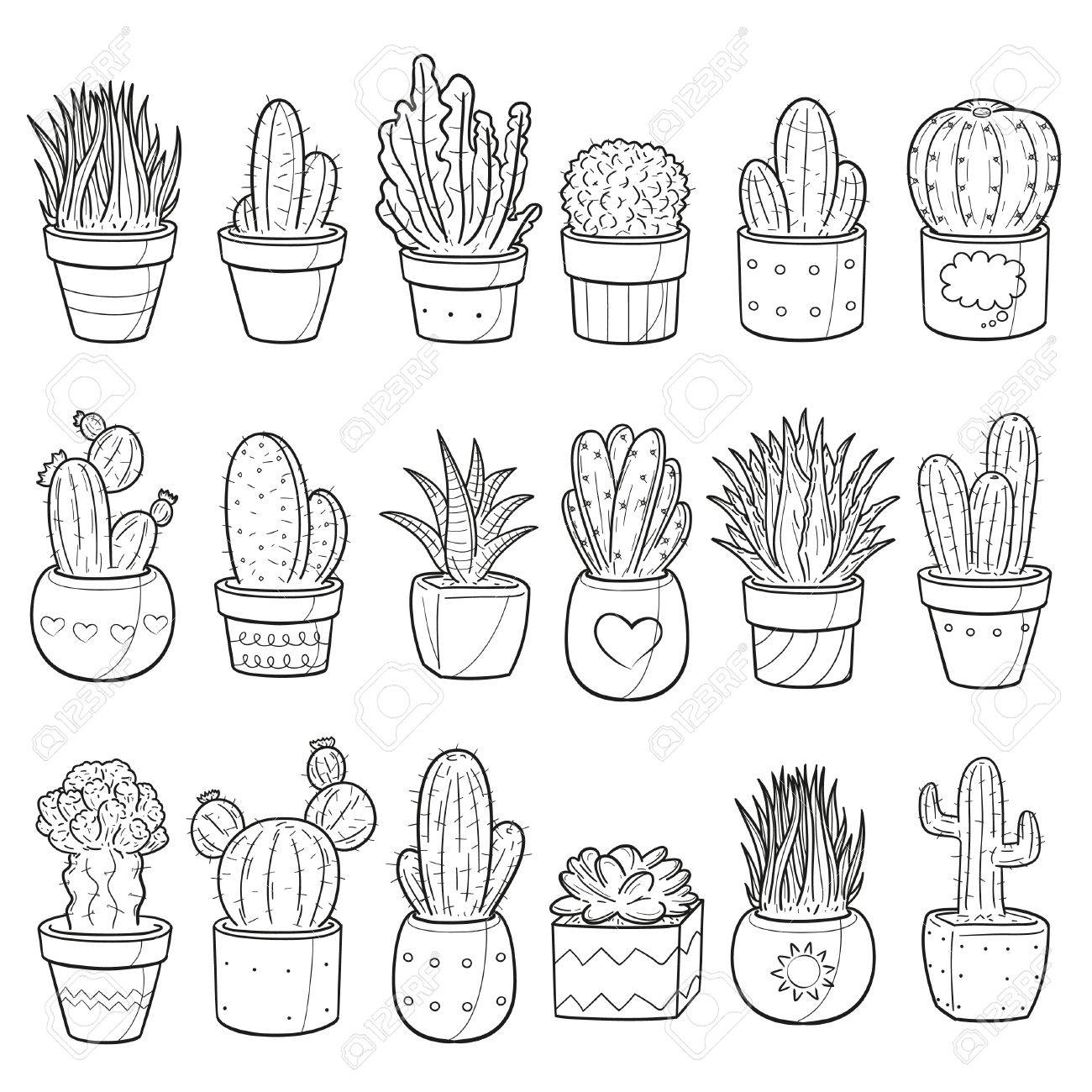 Cactus Succulent Plant Decor Doodle Icon Sketch Vector Art Royalty Free Cliparts Vectors And Stock Illustration Image 78978086