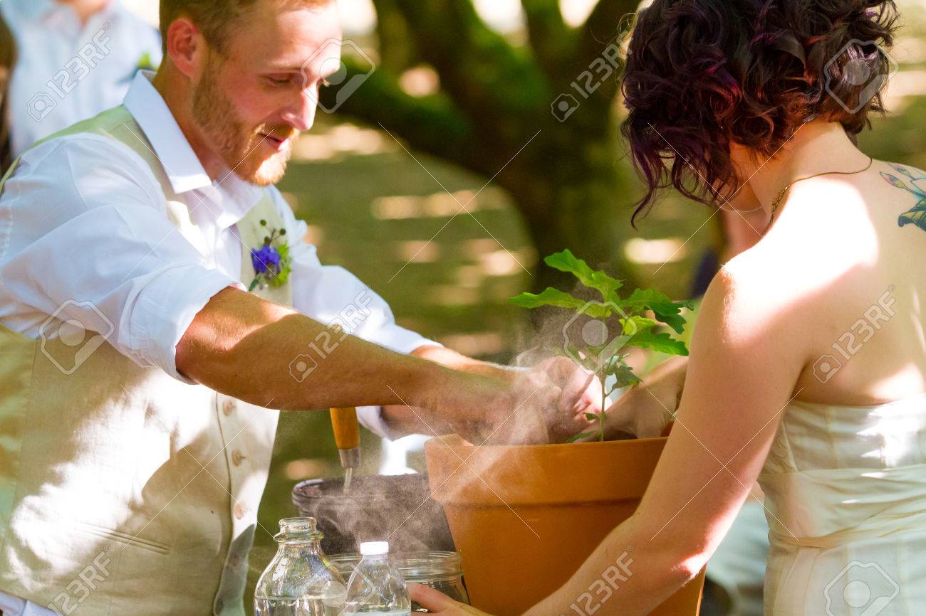 Tree Planting Ceremony During The Wedding Of This Bride And Groom Stock Photo Picture And Royalty Free Image Image 26121673
