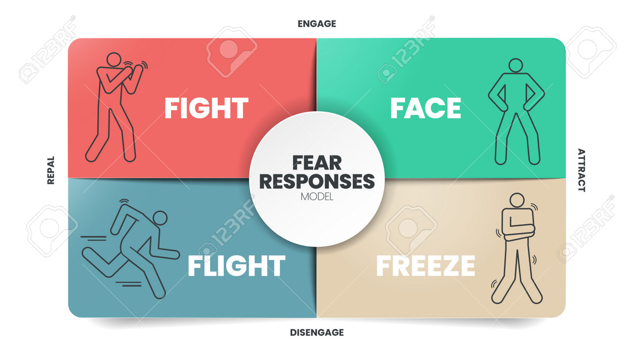 Fear Responses Model Infographic Presentation Template With Icons Is A 4F  Trauma Personality Types Such As Fight, Face, Flight And Freeze. Mental  Health And Personality Type Concept. Education Vector. Клипарты, SVG,  векторы,