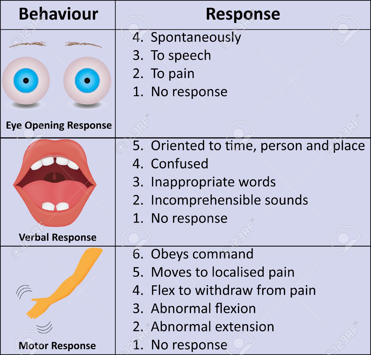 Image result for glasgow coma scale