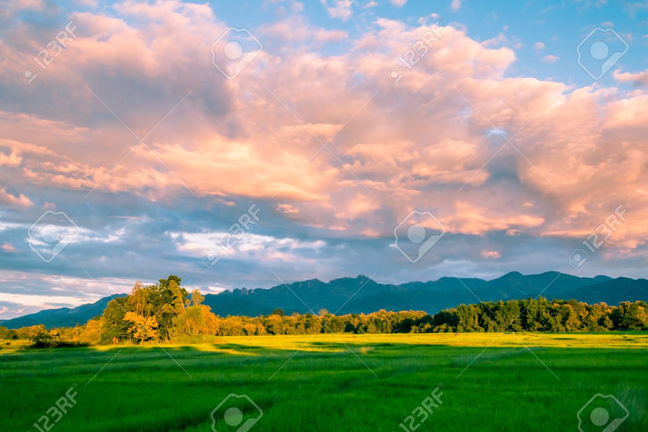 美しい夕日と田んぼの木やプレー タイで大きな山を背景に暗い雲 の写真素材 画像素材 Image