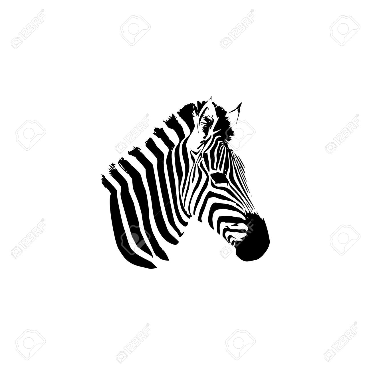 Zebra Animal Icon Of African Safari Sign Isolated On White Background Royalty Free SVG, Cliparts, Vectors, And Stock Illustration. Image 173735764. Zebra Animal Icon Of African Safari Sign Isolated On White Background Royalty Free SVG, Cliparts, Vectors, And Stock Illustration. Image 173735764.