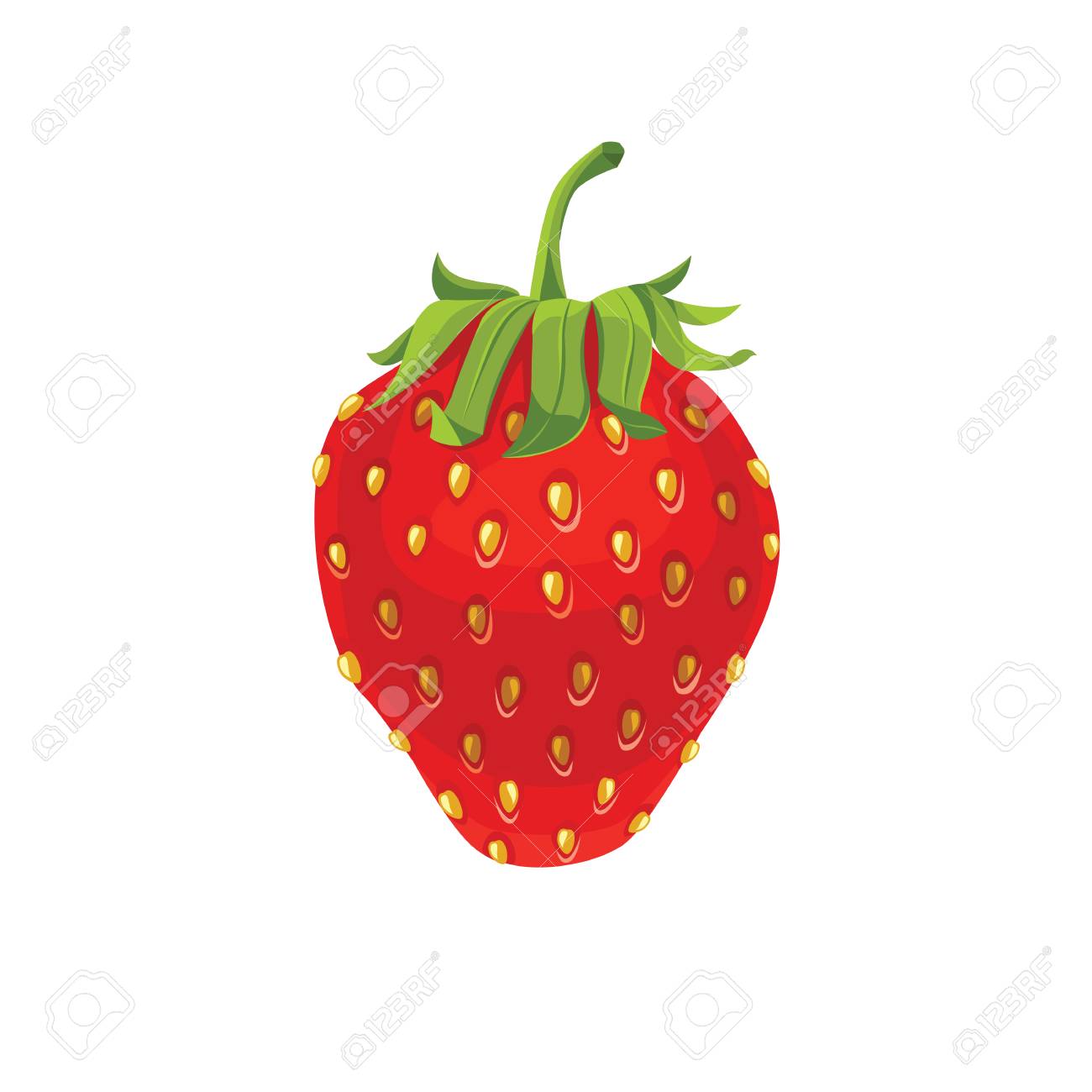 白い背景の分離されたイチゴのベクトル イラストのイラスト素材 ベクタ Image
