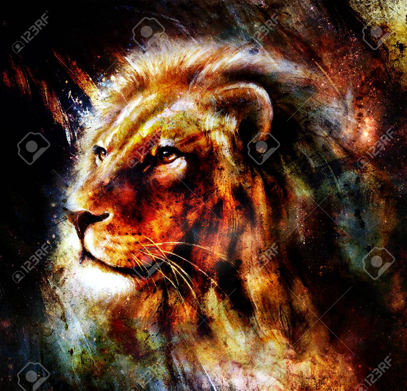 lion painting on abstract color background profile portrait stock