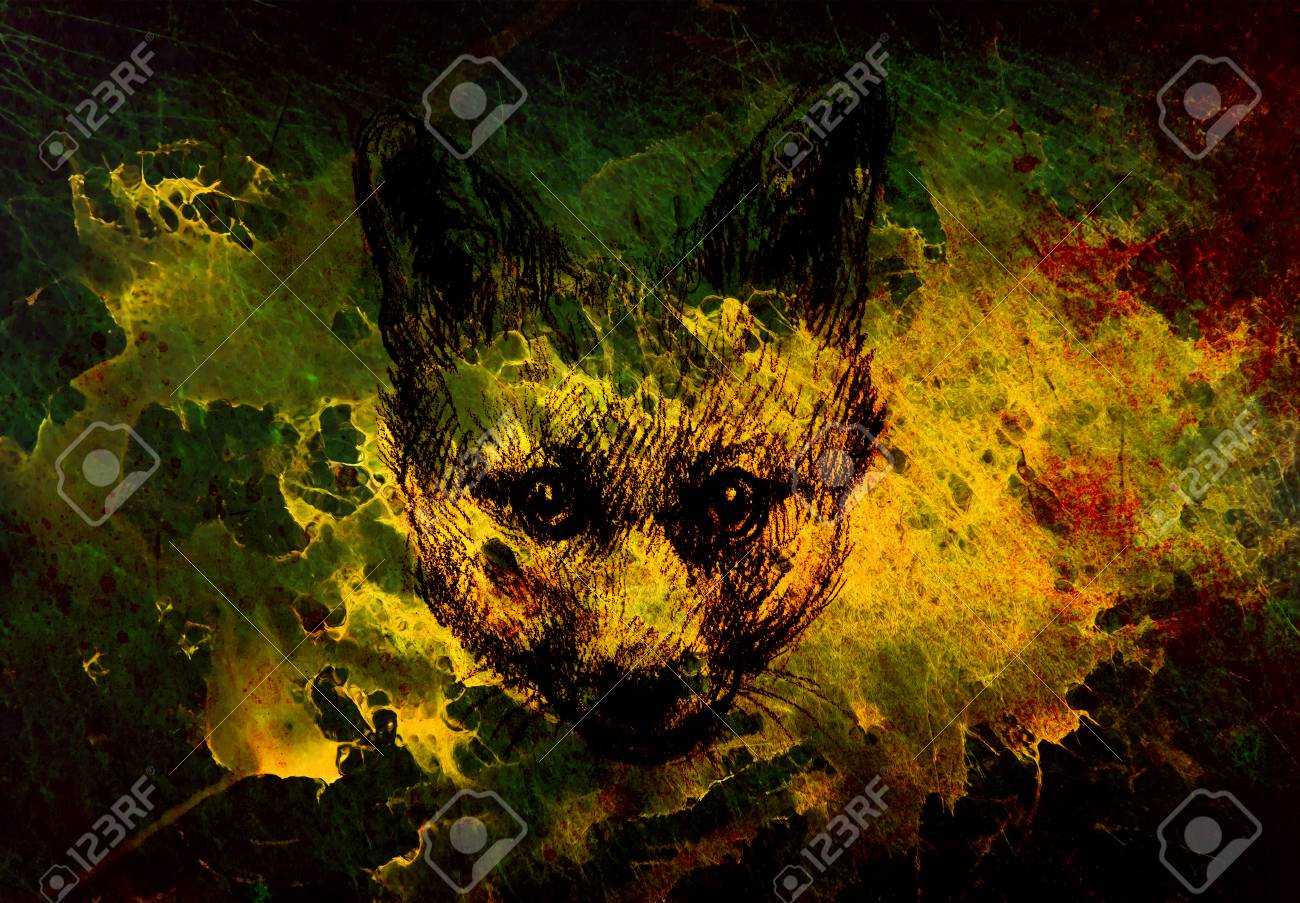 フォックスの肖像画 鉛筆デッサン紙の魔法色の効果 の写真素材 画像素材 Image