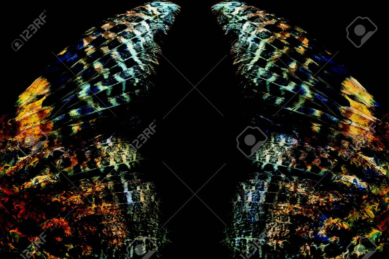 etiam-dictum-ipsum-a-felis