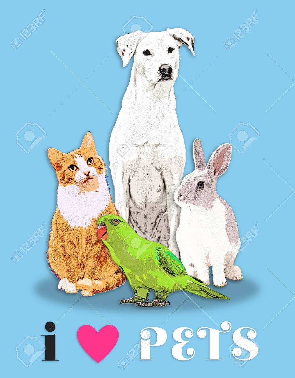 ペット肖像画☆気品の胡蝶蘭☆ペットの絵∥動物の絵∥