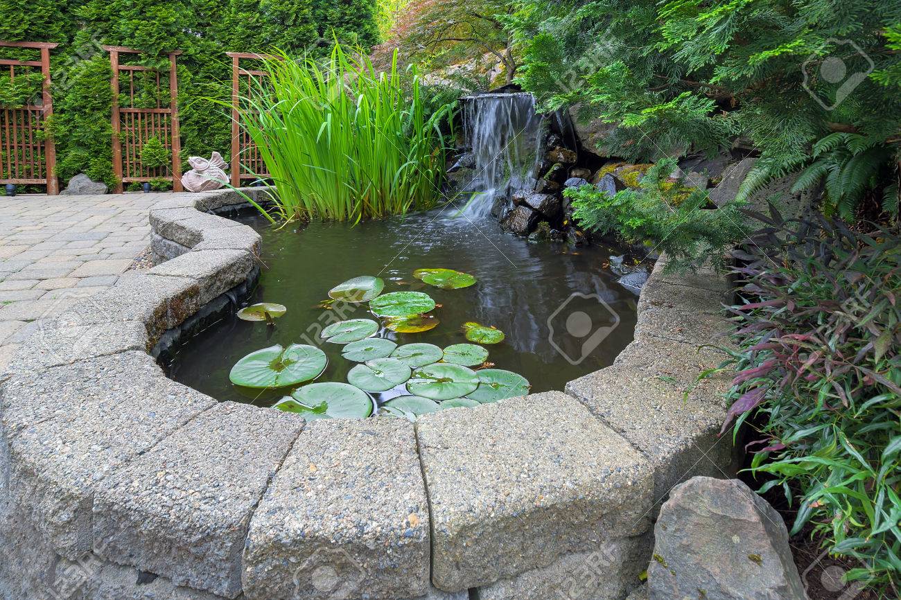 Garden Backyard pond with waterfall water plants brick paver patio trellis landscaping - 60092757 Garden Backyard pond with waterfall water plants brick paver patio trellis landscaping - 60092757