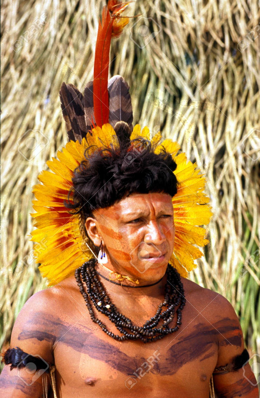 インド人男性、ブラジルのパラ州バイショアマゾナスのアマゾン