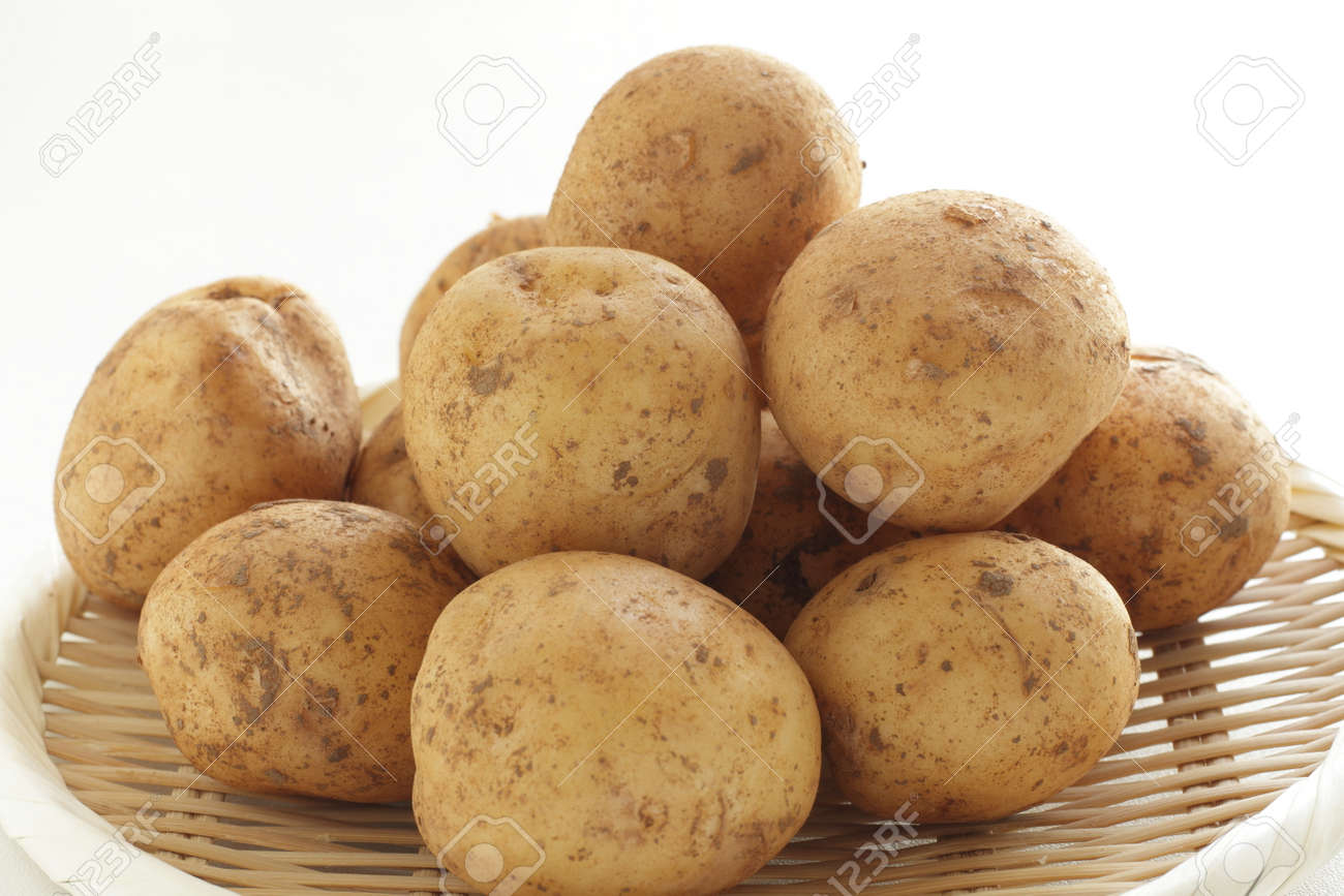 freshness new potato from Japan for spring food ingredient - 169245977 freshness new potato from Japan for spring food ingredient - 169245977