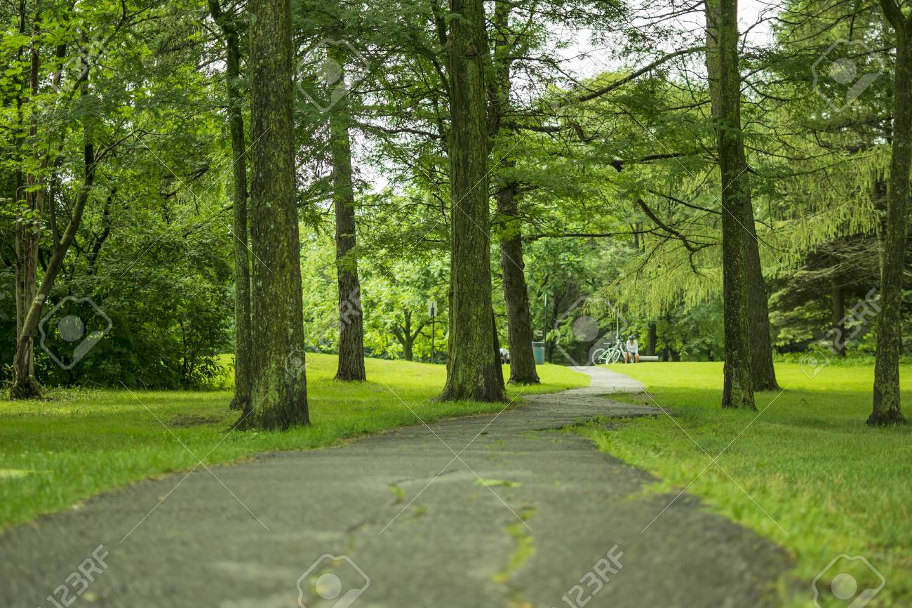 Little Trail With Trees And Grass At Maisonneuve Park In Montreal