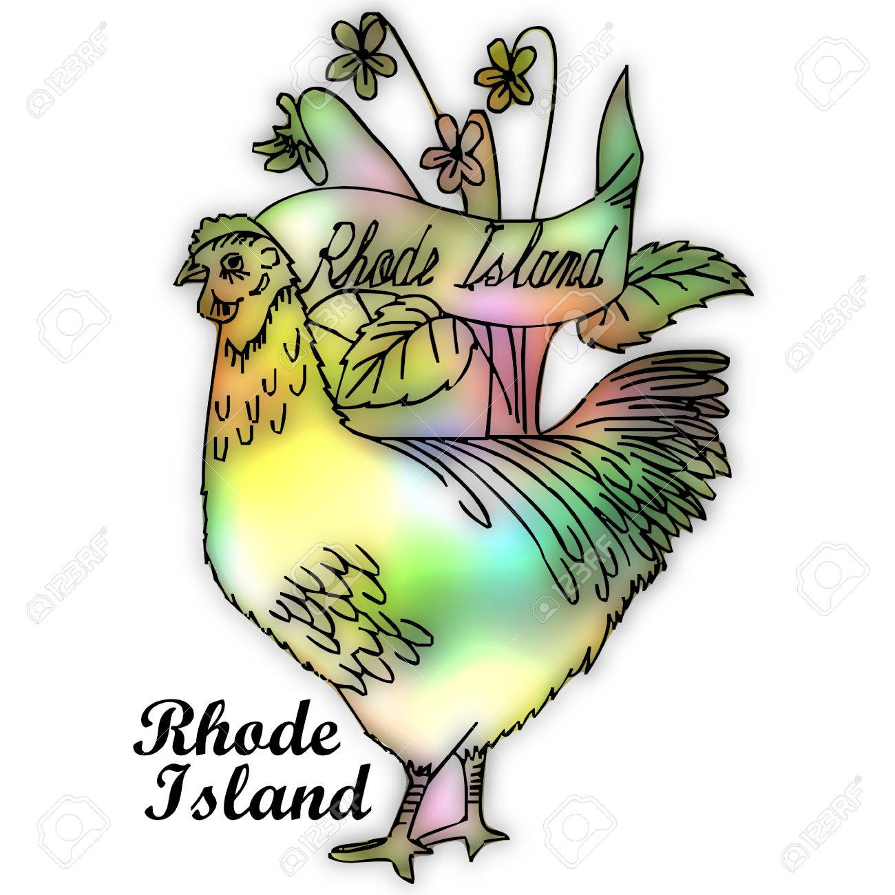 rhode island state bird stock photo picture and royalty free image