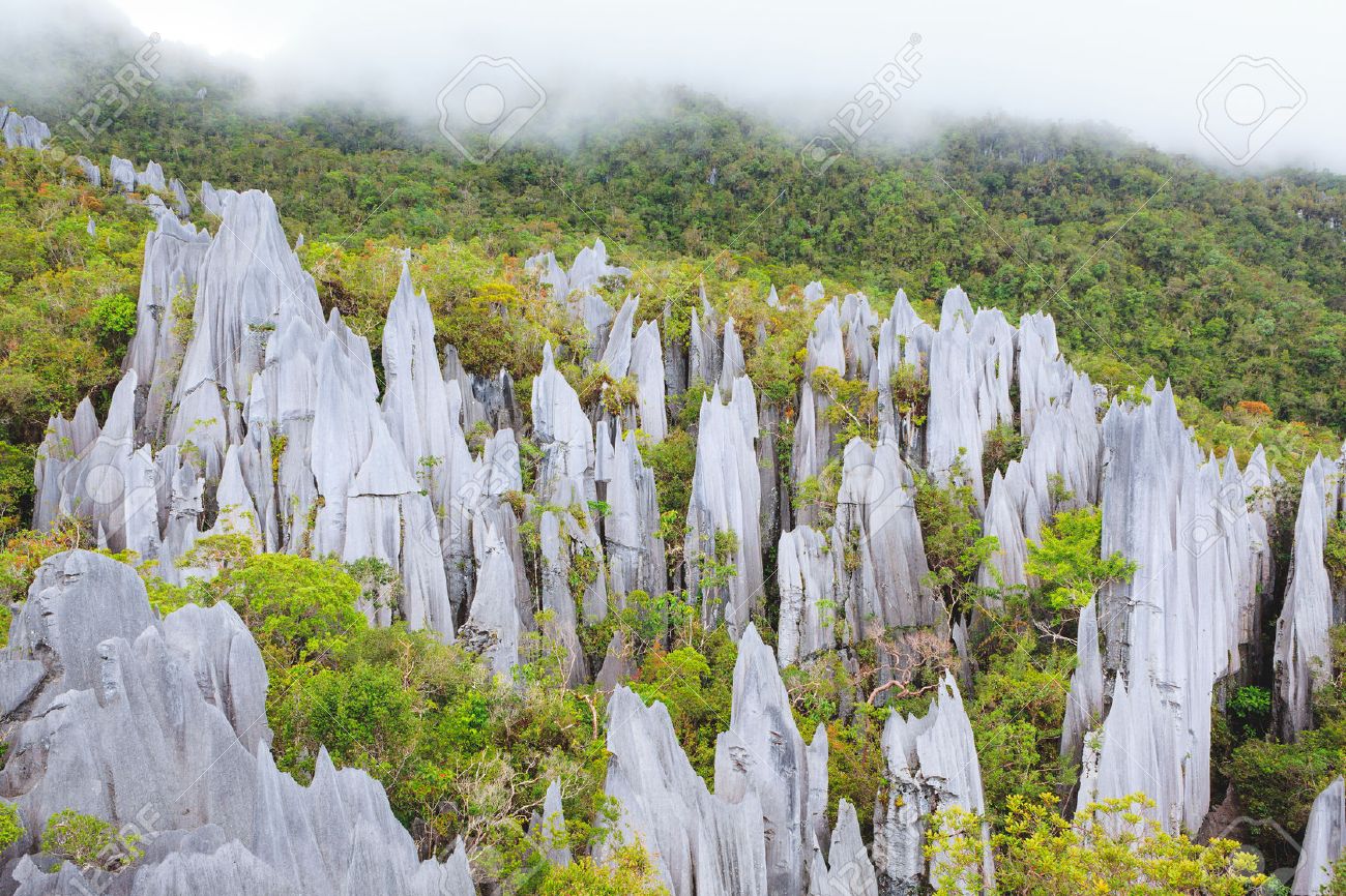 グヌン ムル国立公園ボルネオ島マレーシアで石灰岩の尖塔の形成 の写真素材 画像素材 Image