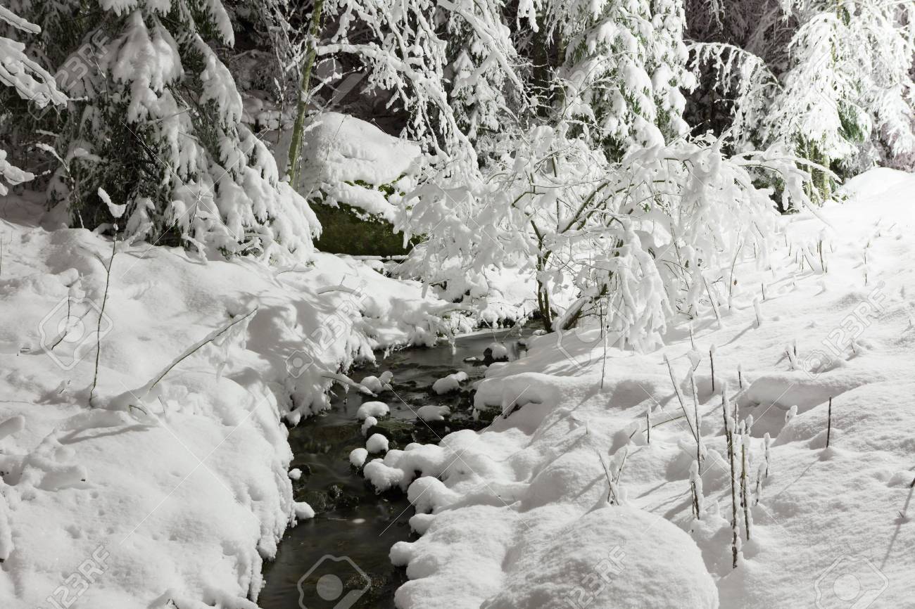 small stream in snow