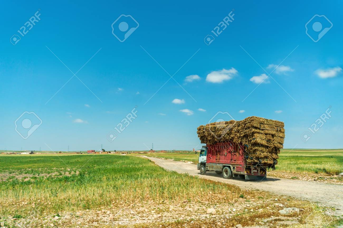 Straw Packs