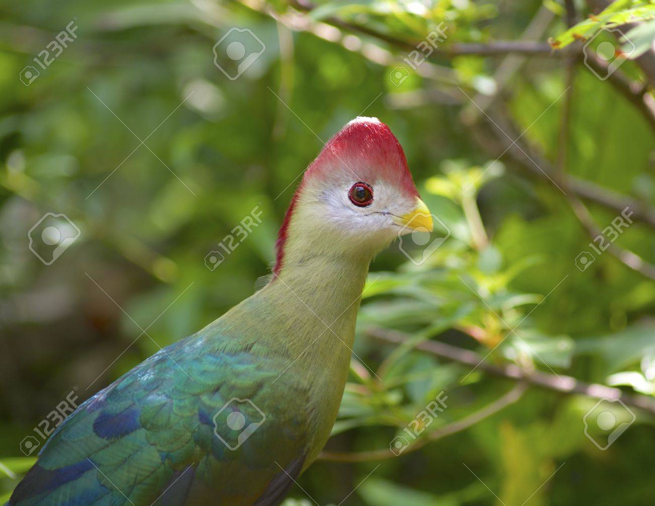 etiam-dictum-ipsum-a-felis