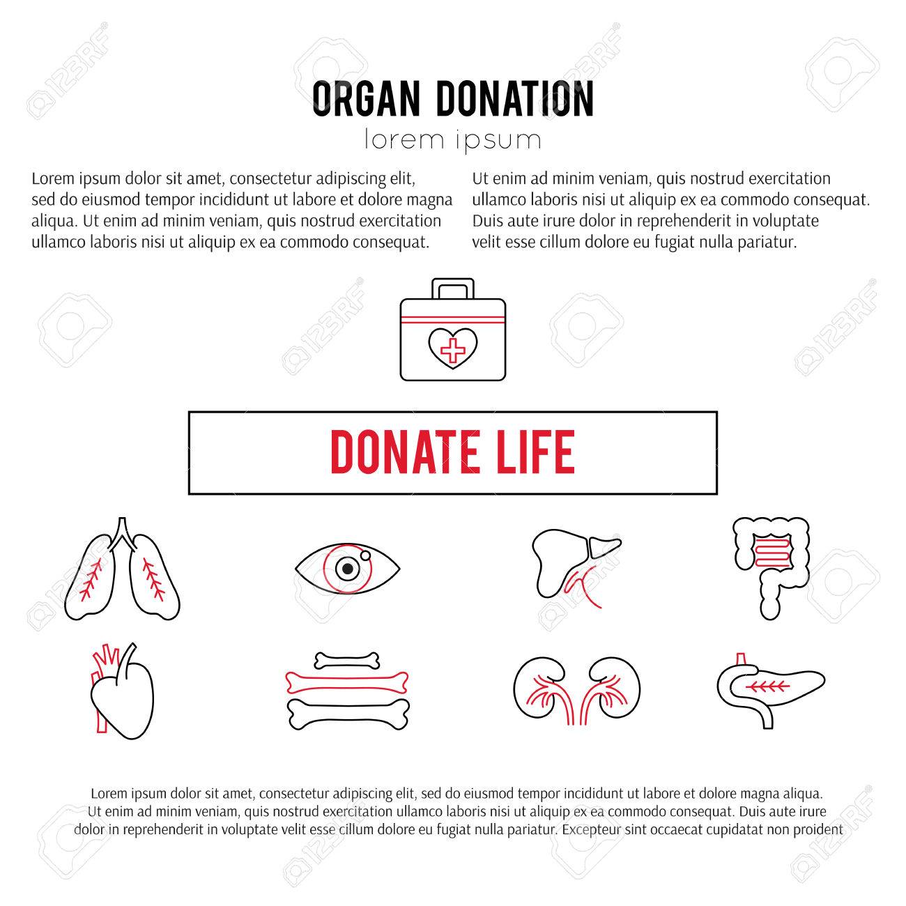 Vector Square Banner Template. Organ Donation Thin Line Icons For Donation Cards Template