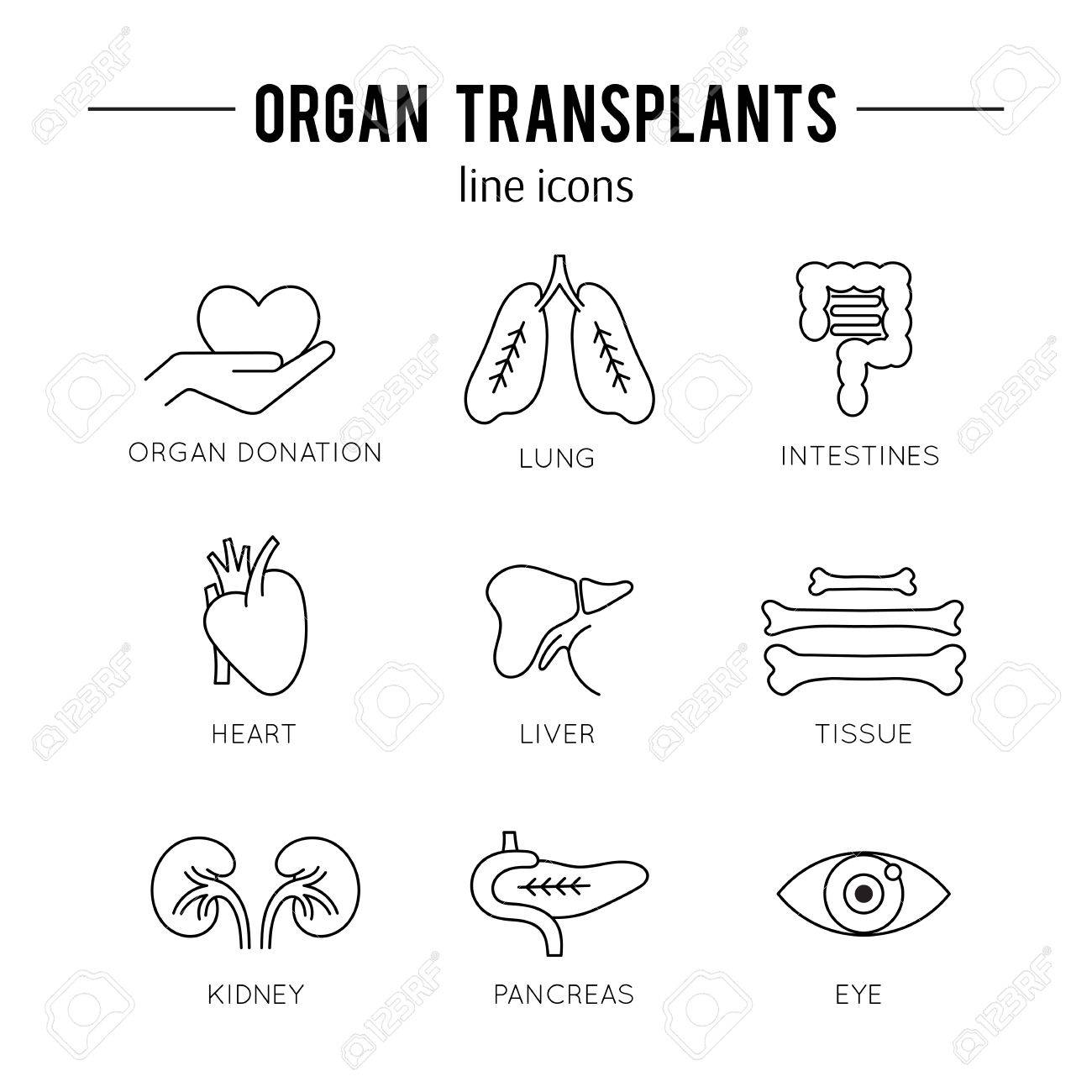 臓器移植のアイコンを設定のイラスト素材 ベクタ Image