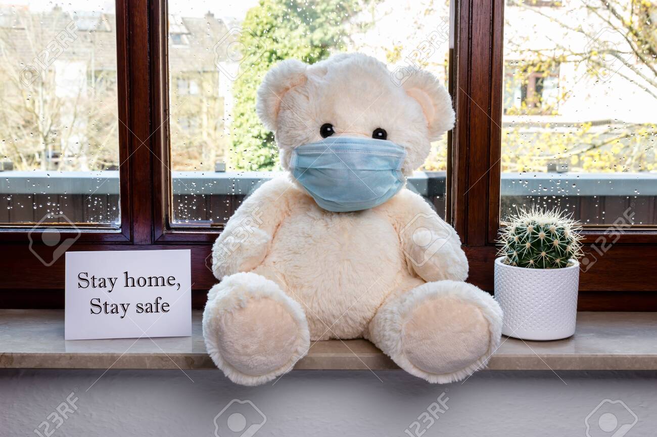 teddy bear safe