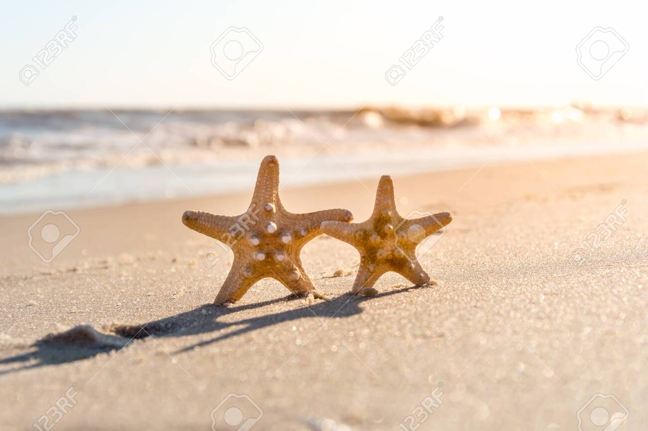 Big And Small Starfish On A Beach A Couple Of Sea Stars Standing On Golden Sand Near Sea On Sunny Day Romantic Summer Vacation Concept Summer Wallpaper Or Background Stock Photo Picture