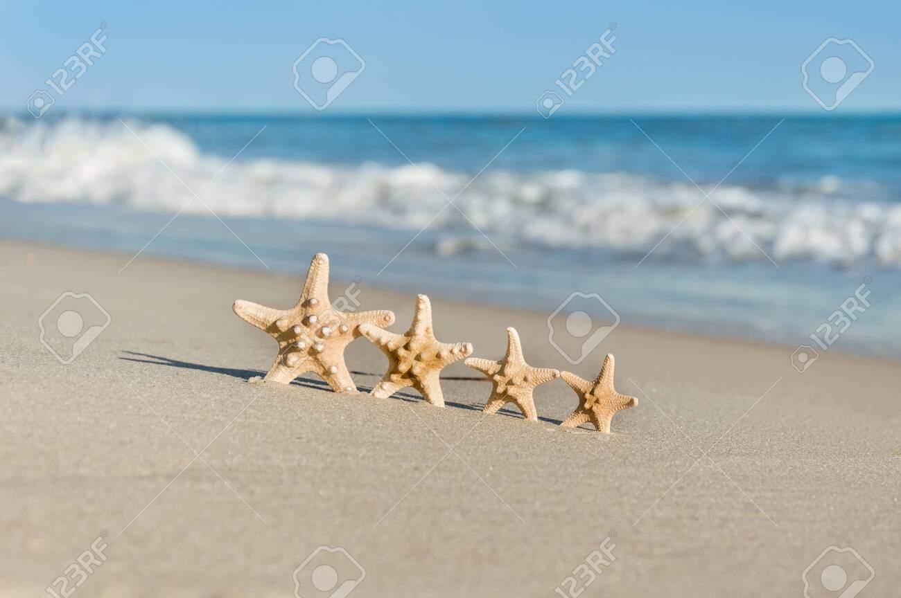 Big And Small Starfish On A Beach Four Sea Stars Standing On Golden Sand Near Sea On Sunny Day Family Summer Vacation Concept Summer Wallpaper Or Background Stock Photo Picture And Royalty