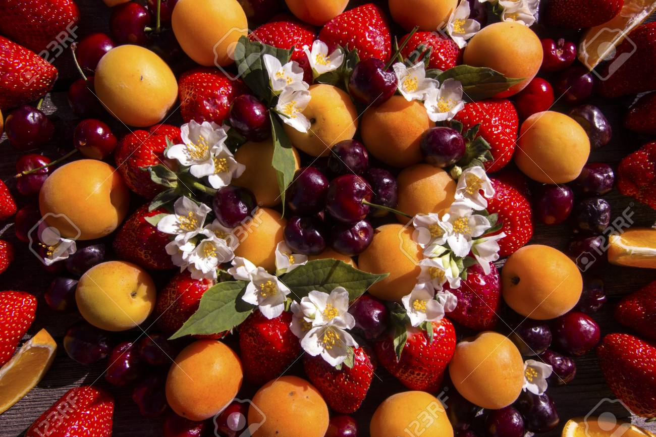 etiam-dictum-ipsum-a-felis