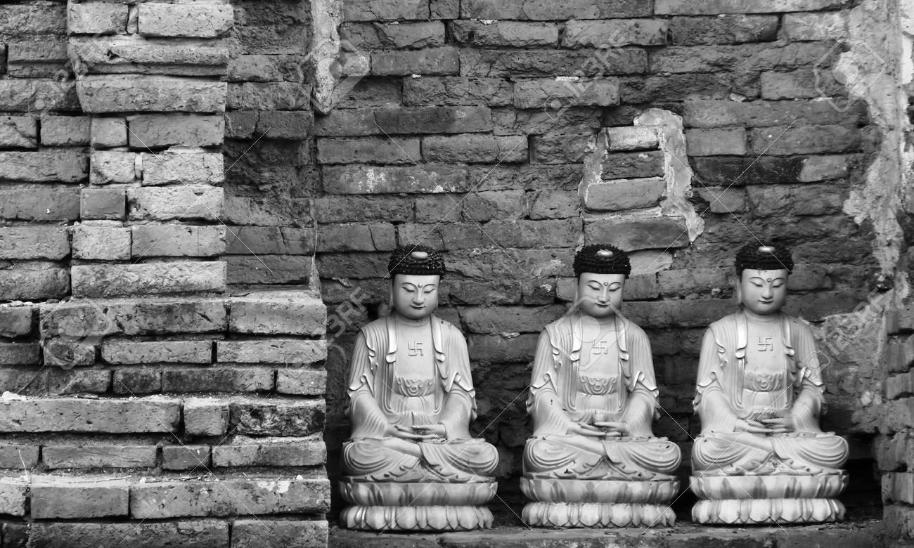 etiam-dictum-ipsum-a-felis