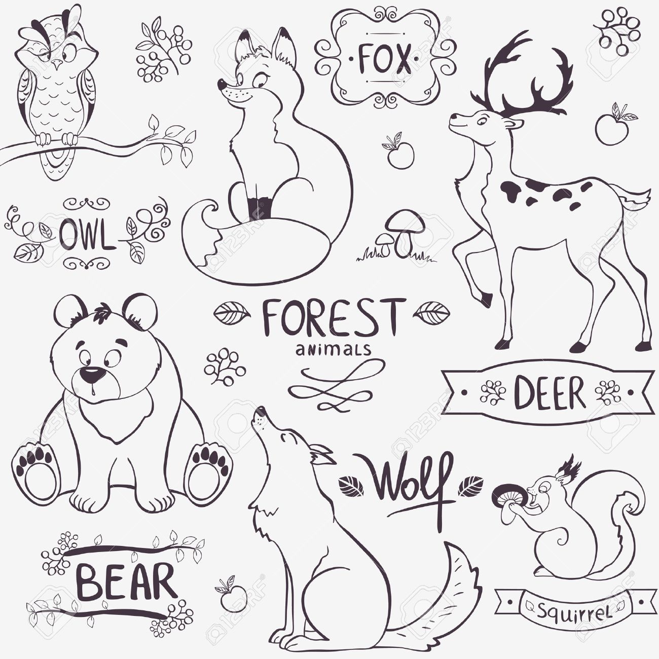 Illustration Set Of Cute Animals Of The Forest With Design Names Royalty Free SVG, Cliparts, Vectors, And Stock Illustration. Image 23207289. Illustration Set Of Cute Animals Of The Forest With Design Names Royalty Free SVG, Cliparts, Vectors, And Stock Illustration. Image 23207289.