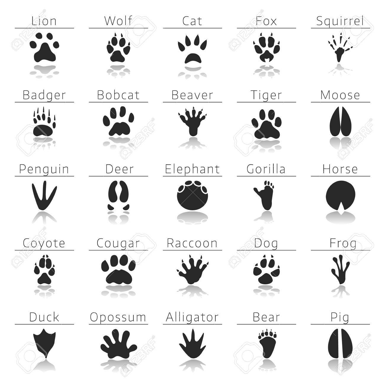 animal track prints set