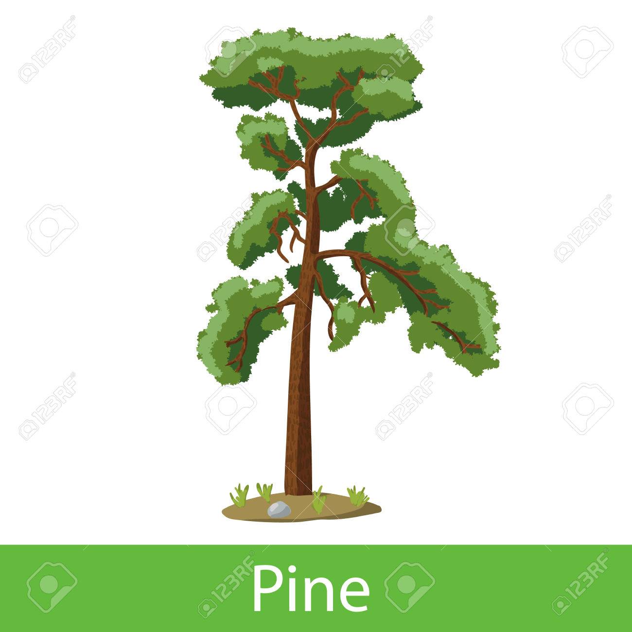 コンプリート 松 イラスト 無料 無料 イラスト 松