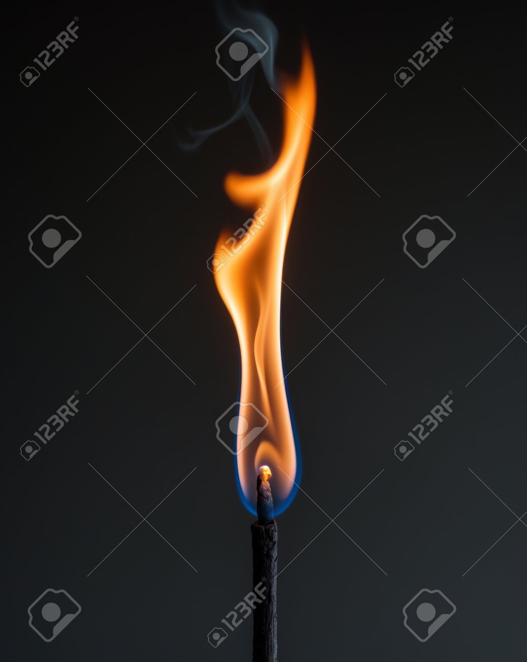 etiam-dictum-ipsum-a-felis